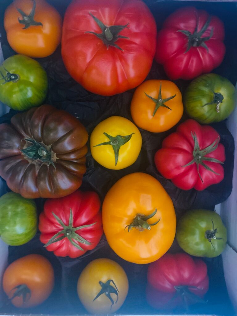 Box of colourful heirloom tomatoes at Pulcinella, Cleveleys